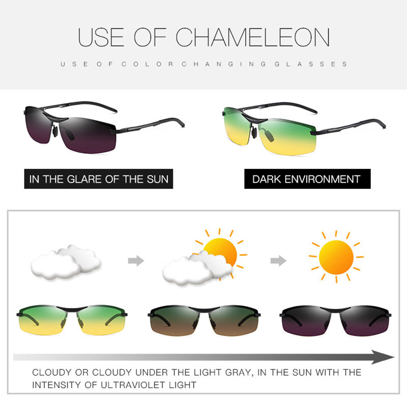 Polarized Day & Night Sunglasses