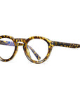 TR Imitation Acetate Glasses