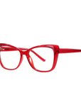 TR90 Tortoiseshell Glasses