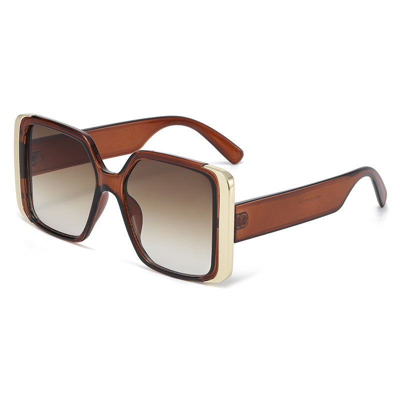 Big Frame Square Sunglasses