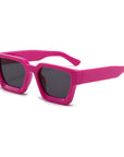 Thick Framed Sunglasses
