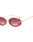 Small Frame Oval Sunglasses